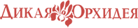 Дикая Орхидея